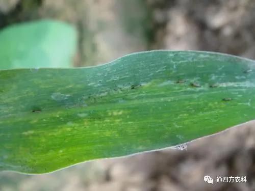 ���הQ����ô�k����ץ�o��Q��(hu��)Ӱ푮a(ch��n)��!!!