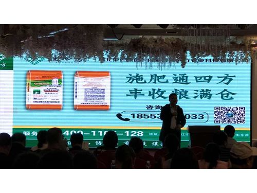 ������ӆ؛����Ƭ